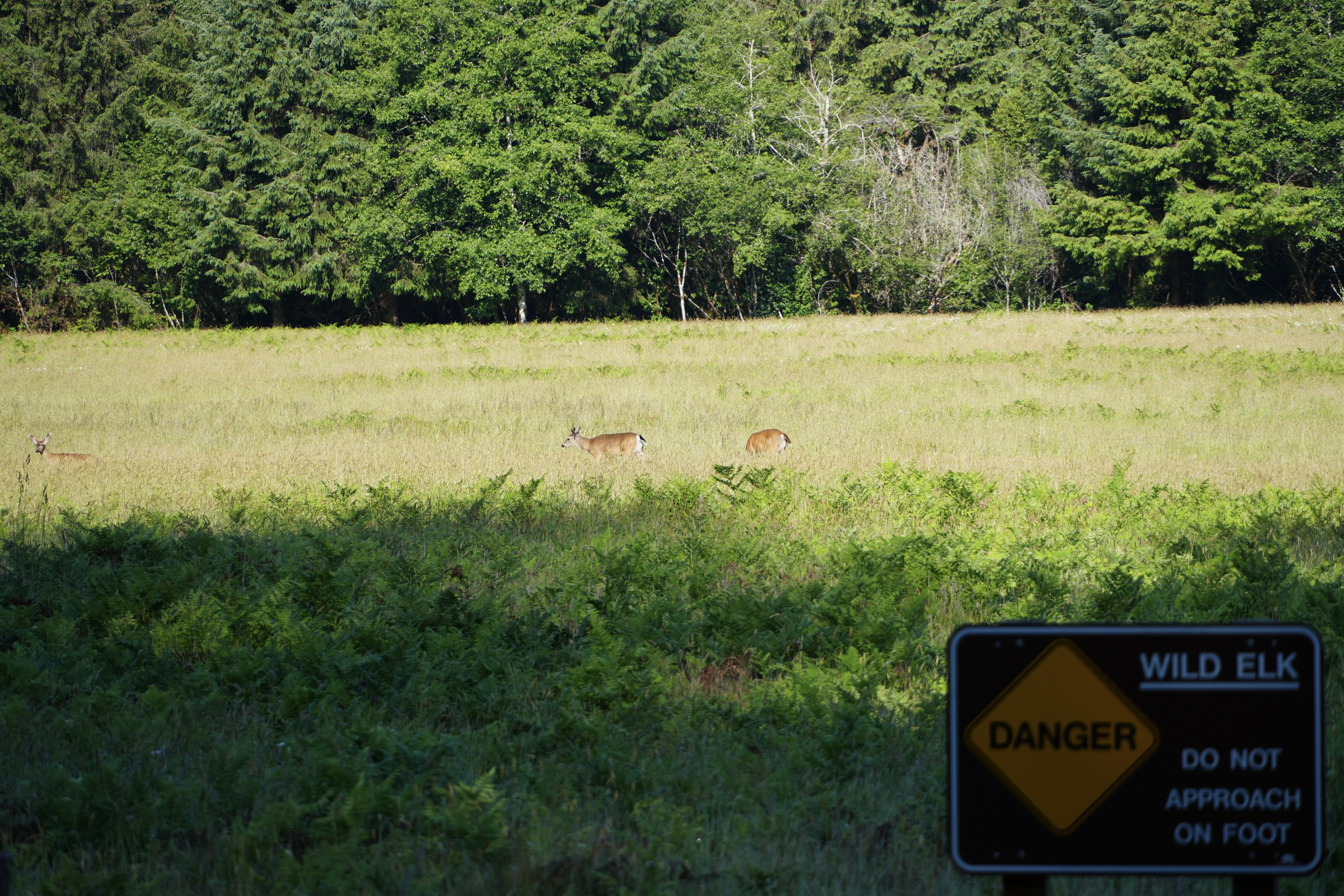 Travel Photo 9